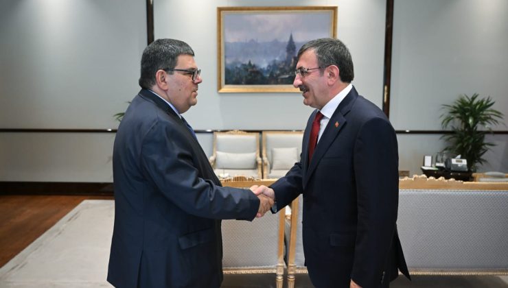 Özdemir Berova, TC Cumhurbaşkanı Yardımcısı Cevdet Yılmaz ile görüştü