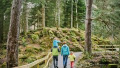 Orman yürüyüşlerinin ruhsal sağlık üzerindeki etkileri