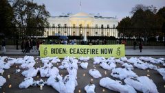 Uluslararası Af Örgütü ve Avaaz Platformu, Beyaz Saray önünde Filistin’e destek gösterisi düzenledi