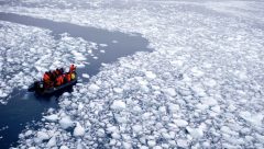 Antarktika’da iklim değişikliği ve yeşillenme
