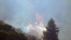 İtalya’nın kuzeybatısındaki ormanlarda yangın çıktı