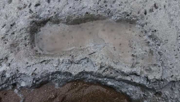 Reading Üniversitesi, Severn halicinde yapılan kazılarda binlerce yıl öncesine ait ayak izleri ve antik balık tuzakları keşfetti