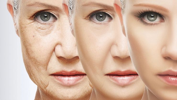 Uzmanlar yaşlanmaya karşı bilimsel olarak kanıtlanmış 7 önemli sırrı açıkladı