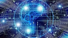 Hollanda hükümeti, yapay zekanın fırsatların yanında istihdam riski getireceğini öngörüyor