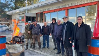 Kıbrıs Türk Narenciye Üreticiler Birliği eylem başlattı… “Milli servet narenciye yere dökülüyor”