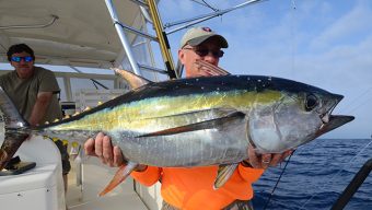 Ton balığında yüksek cıva: Sağlık tehlikesi devam ediyor