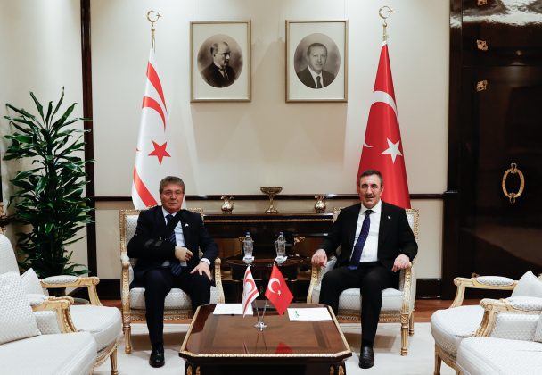 Başbakan Üstel ile TC Cumhurbaşkanı Yardımcısı Yılmaz  görüştü