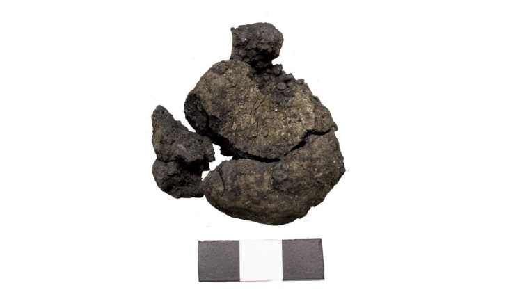 çatalhöyük ekmek jpeg