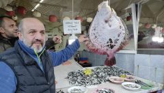 Karadeniz’de nadir görülen 7 Kg ağırlığındaki kalkan balığı anında alıcı buldu