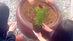 Dünya Oto’nun lastikleriyle NKL öğrencilerinden çevreci girişim