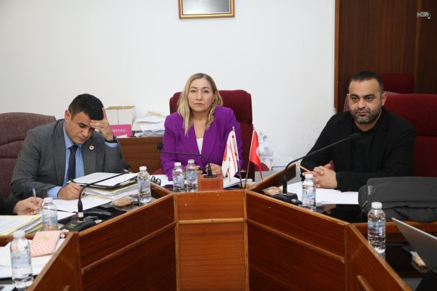 Cumhuriyet Meclisi, Hukuk, Siyasi İşler ve Dışilişkiler Komitesi toplandı