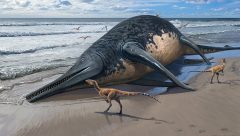 Dinozorlar Çağı’nda yaşamış dev deniz sürüngeni türü keşfedildi
