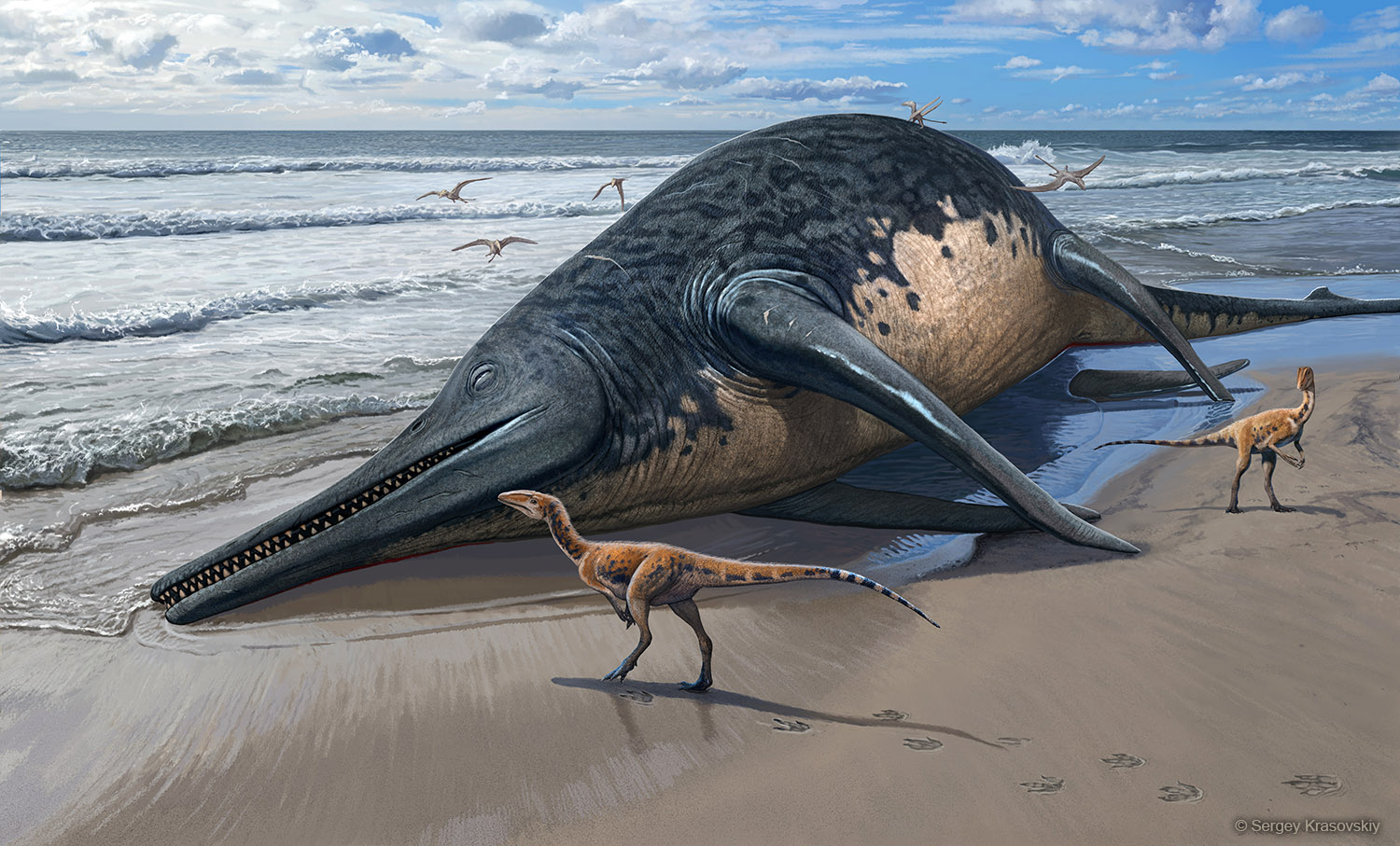 Dinozorlar Çağı’nda yaşamış dev deniz sürüngeni türü keşfedildi
