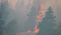 Orman Dairesi Müdürlüğü, yangın tehlikesine karşı kurallara ve alınması gereken önlemlere dikkat çekti