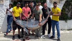 Yedidalga’da 131 kiloluk Mako köpek balığı yakalandı!